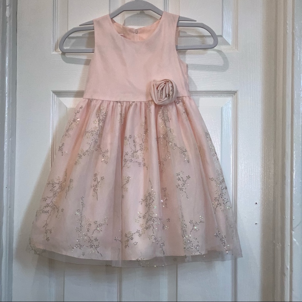 Girl’s tulle party Dress Peach color Size 4